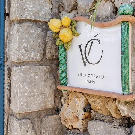Coralia With Seaview - 10 Minute Walk To The Piazzetta * كابري